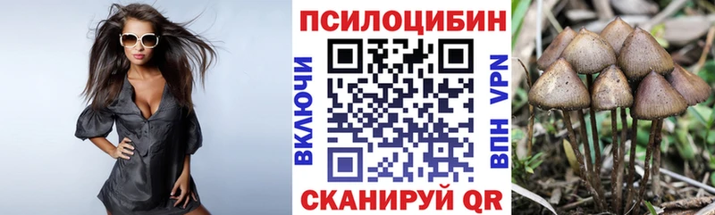 МЕГА ссылки  Карачаевск  Галлюциногенные грибы мицелий  продажа наркотиков 