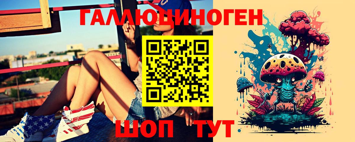 Галлюциногенные грибы прущие грибы Карачаевск
