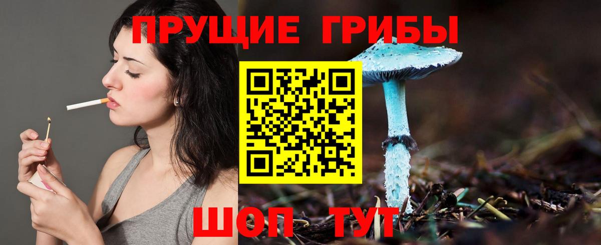 Псилоцибиновые грибы Psilocybe  Вход с VPN  Карачаевск 